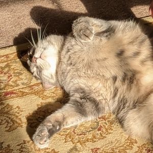 Meet your Posher, Mike